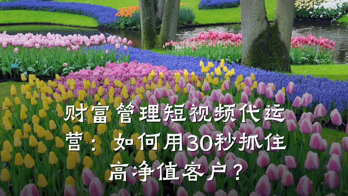 财富管理短视频代运营：如何用30秒抓住高净值客户？