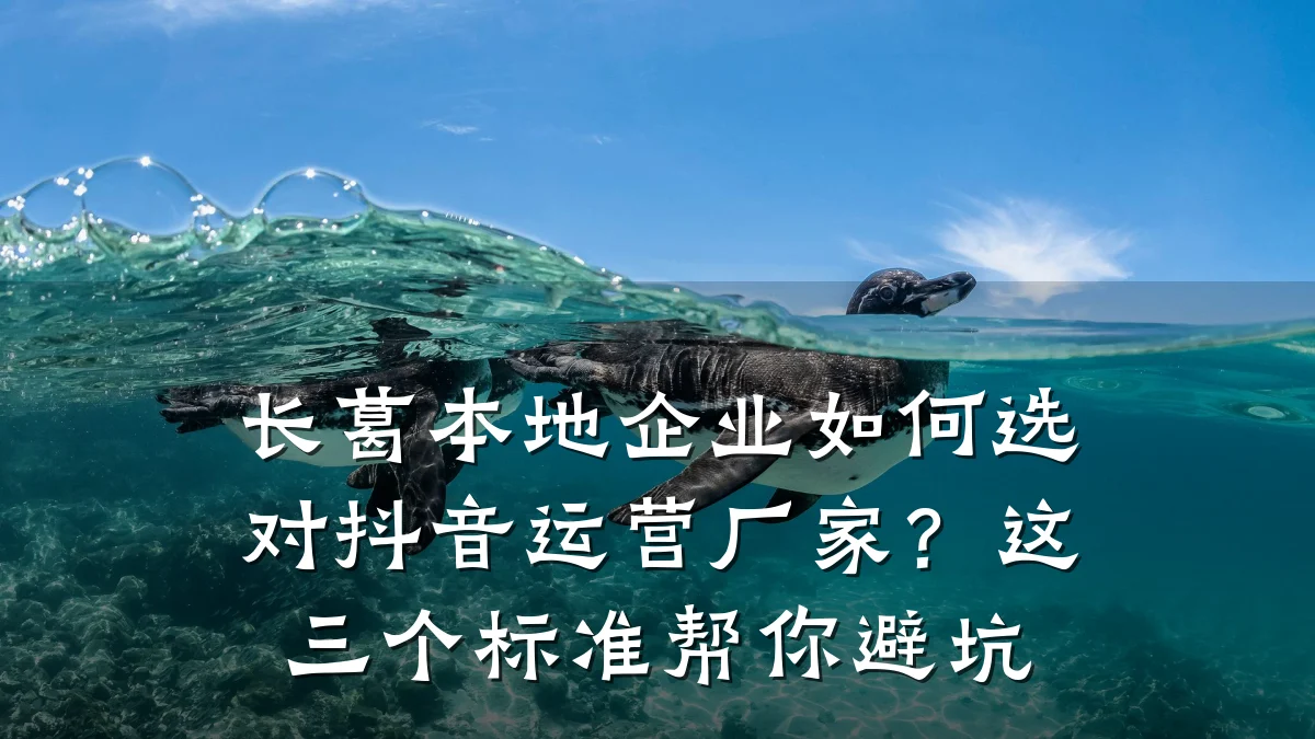 长葛本地企业如何选对抖音运营厂家？这三个标准帮你避坑