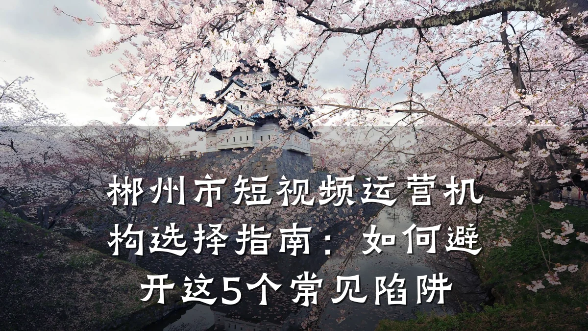 郴州市短视频运营机构选择指南：如何避开这5个常见陷阱