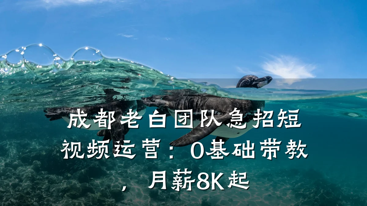 成都老白团队急招短视频运营：0基础带教，月薪8K起