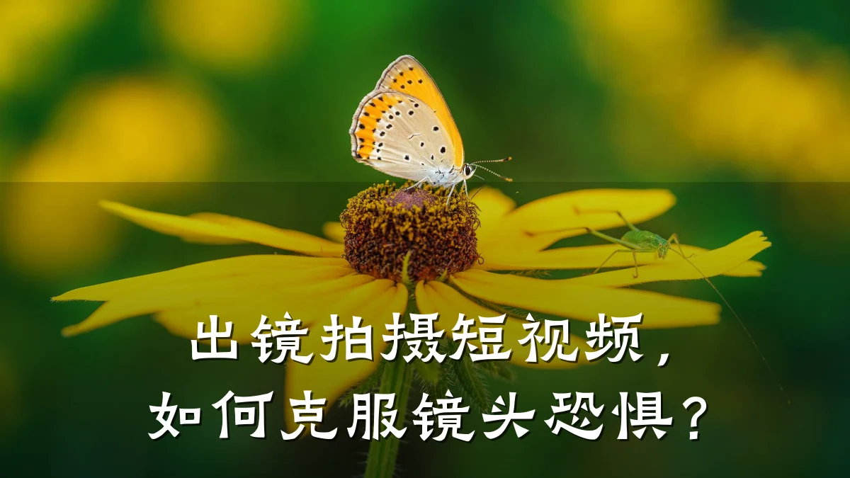 出镜拍摄短视频，如何克服镜头恐惧？