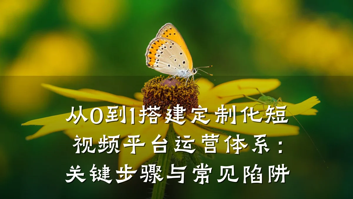 从0到1搭建定制化短视频平台运营体系：关键步骤与常见陷阱