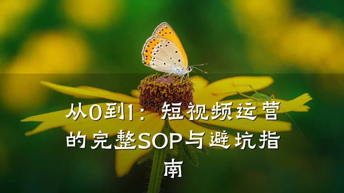从0到1：短视频运营的完整SOP与避坑指南