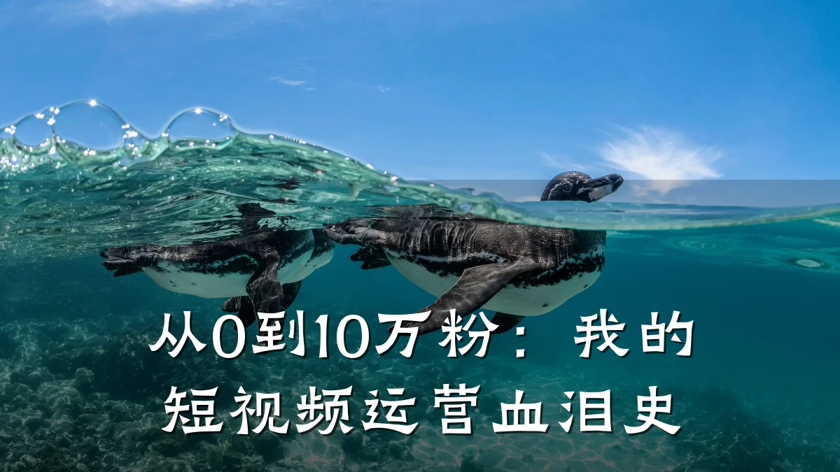从0到10万粉：我的短视频运营血泪史