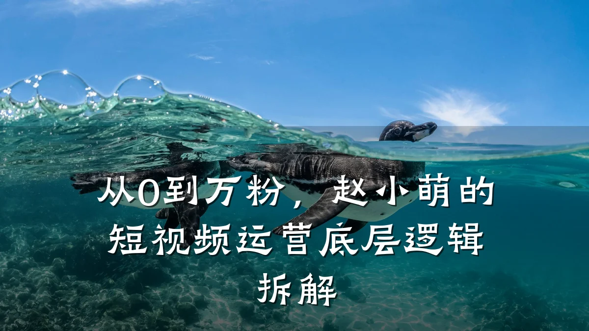 从0到万粉，赵小萌的短视频运营底层逻辑拆解
