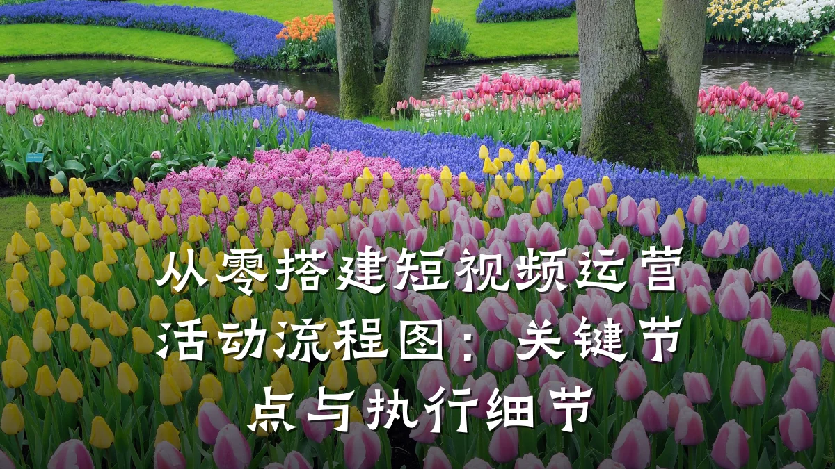 从零搭建短视频运营活动流程图：关键节点与执行细节