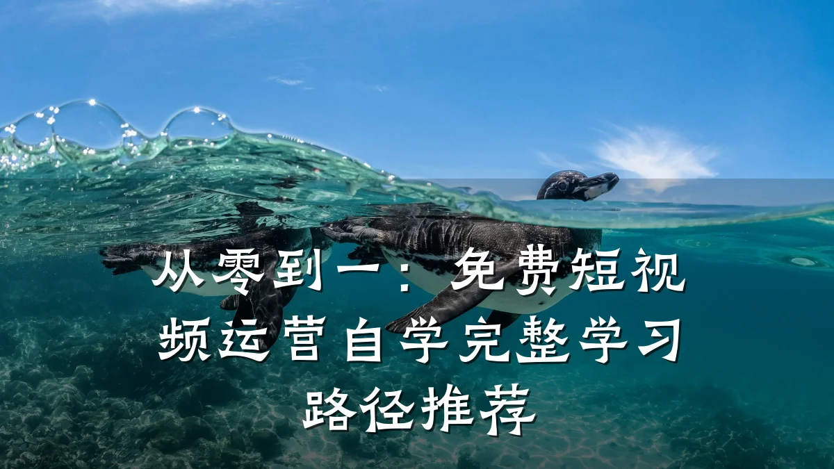 从零到一：免费短视频运营自学完整学习路径推荐
