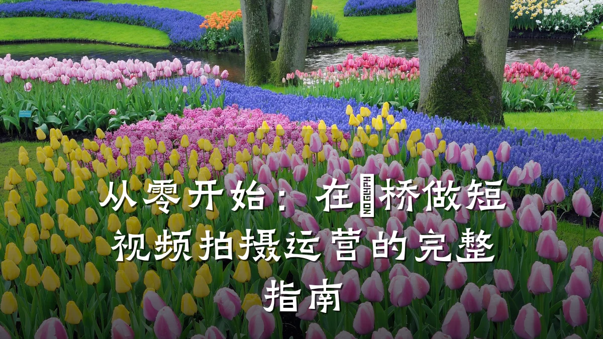 从零开始：在埇桥做短视频拍摄运营的完整指南