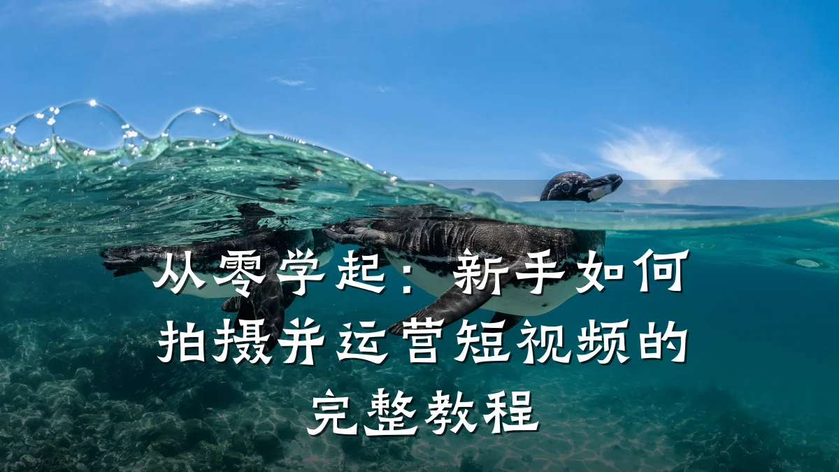 从零学起：新手如何拍摄并运营短视频的完整教程