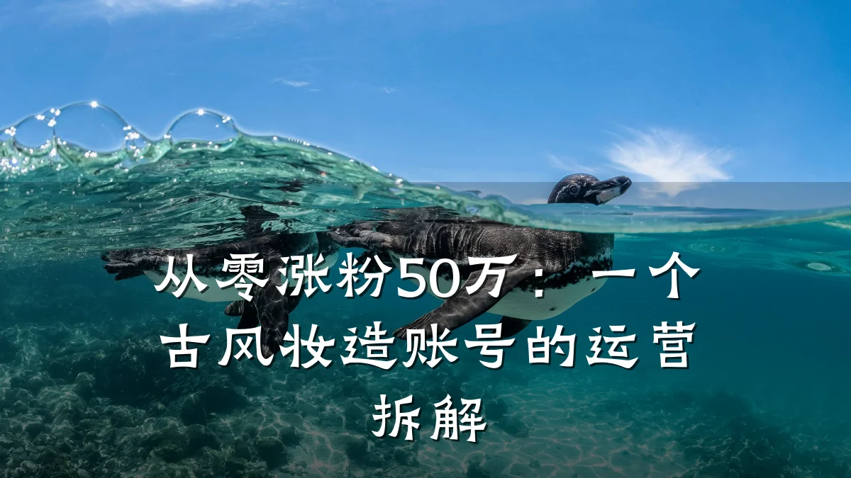 从零涨粉50万：一个古风妆造账号的运营拆解