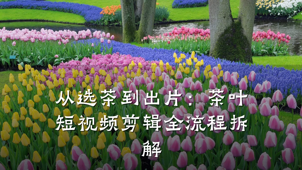 从选茶到出片：茶叶短视频剪辑全流程拆解