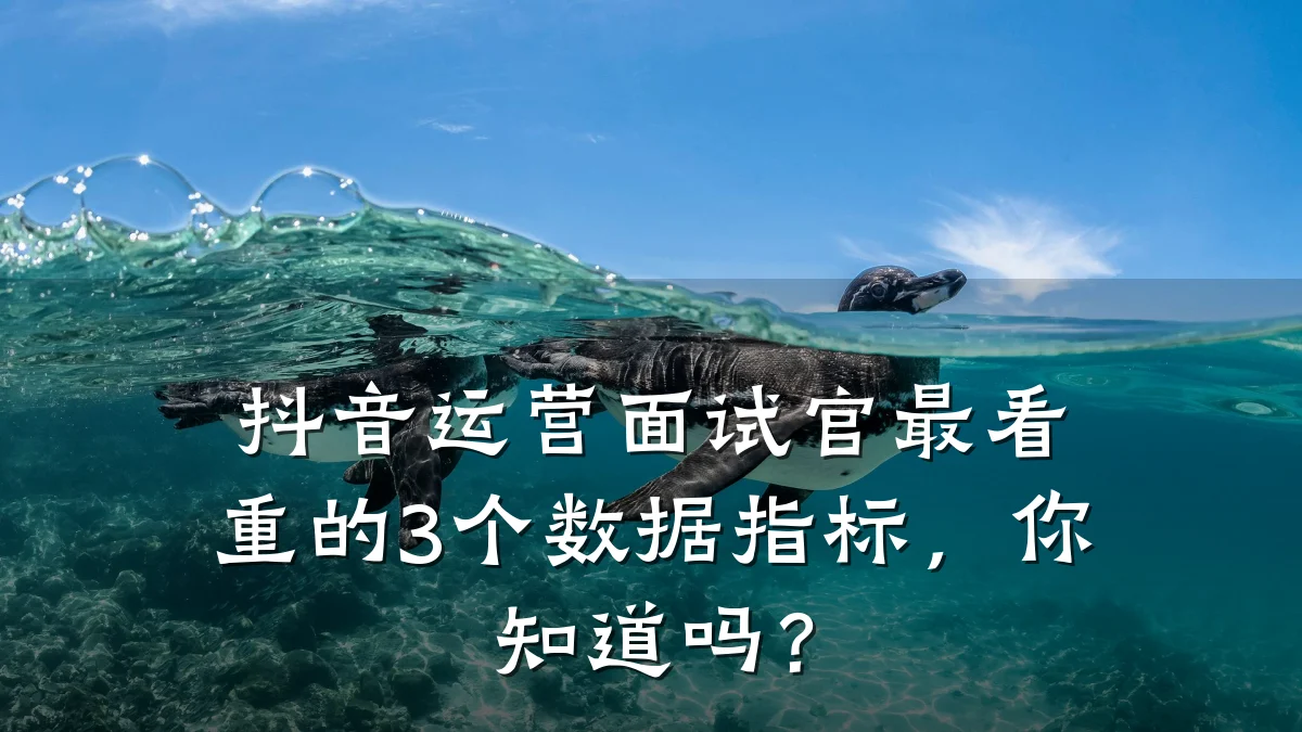 抖音运营面试官最看重的3个数据指标，你知道吗？