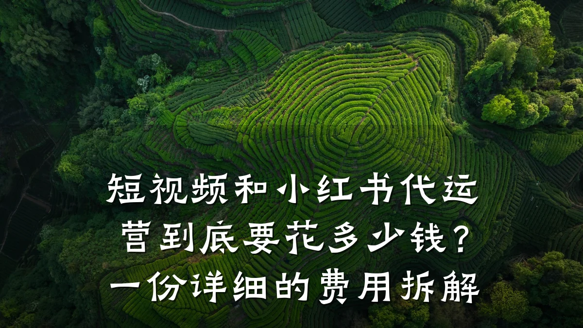 短视频和小红书代运营到底要花多少钱？一份详细的费用拆解