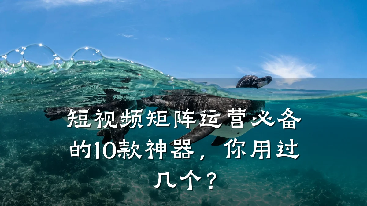 短视频矩阵运营必备的10款神器，你用过几个？