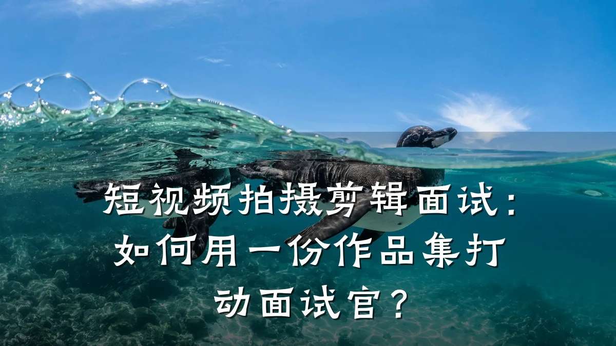 短视频拍摄剪辑面试：如何用一份作品集打动面试官？