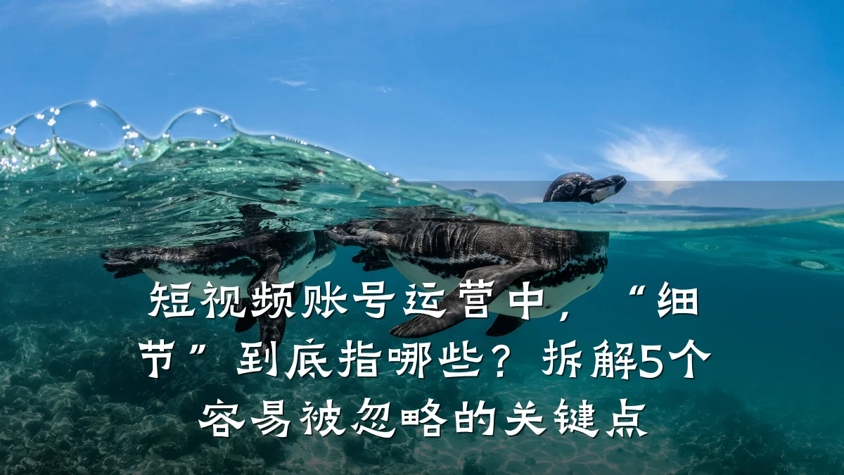 短视频账号运营中，“细节”到底指哪些？拆解5个容易被忽略的关键点