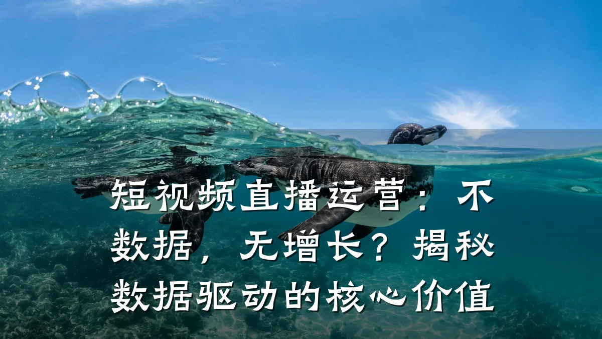短视频直播运营：不数据，无增长？揭秘数据驱动的核心价值