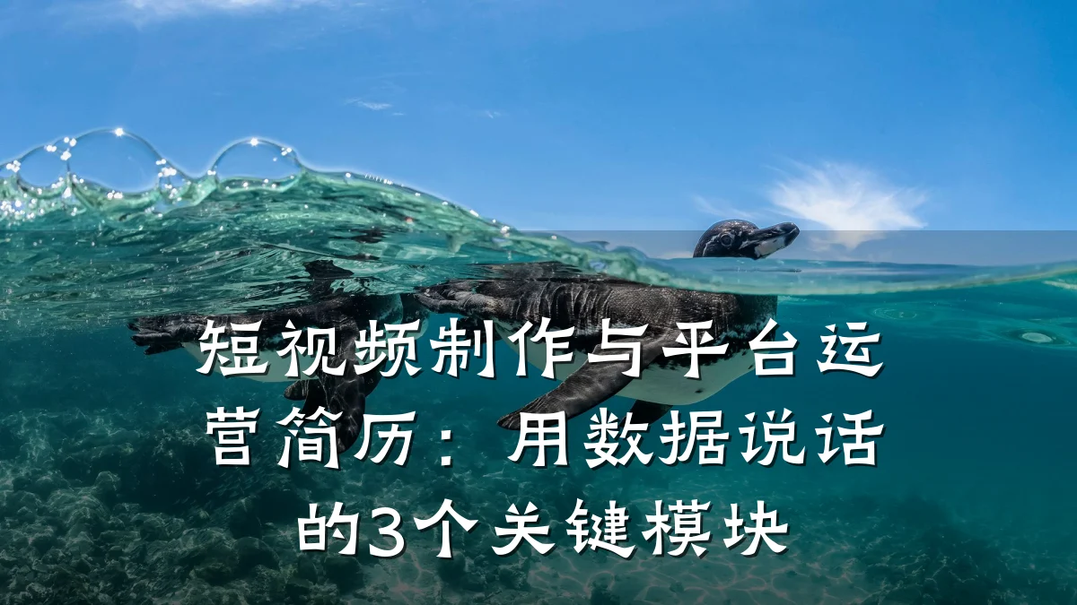短视频制作与平台运营简历：用数据说话的3个关键模块