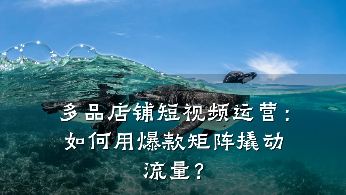 多品店铺短视频运营：如何用爆款矩阵撬动流量？