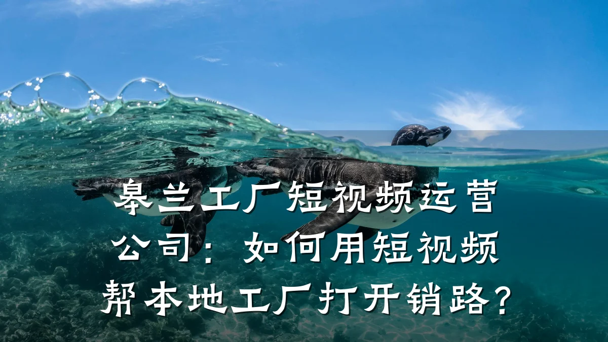 皋兰工厂短视频运营公司：如何用短视频帮本地工厂打开销路？