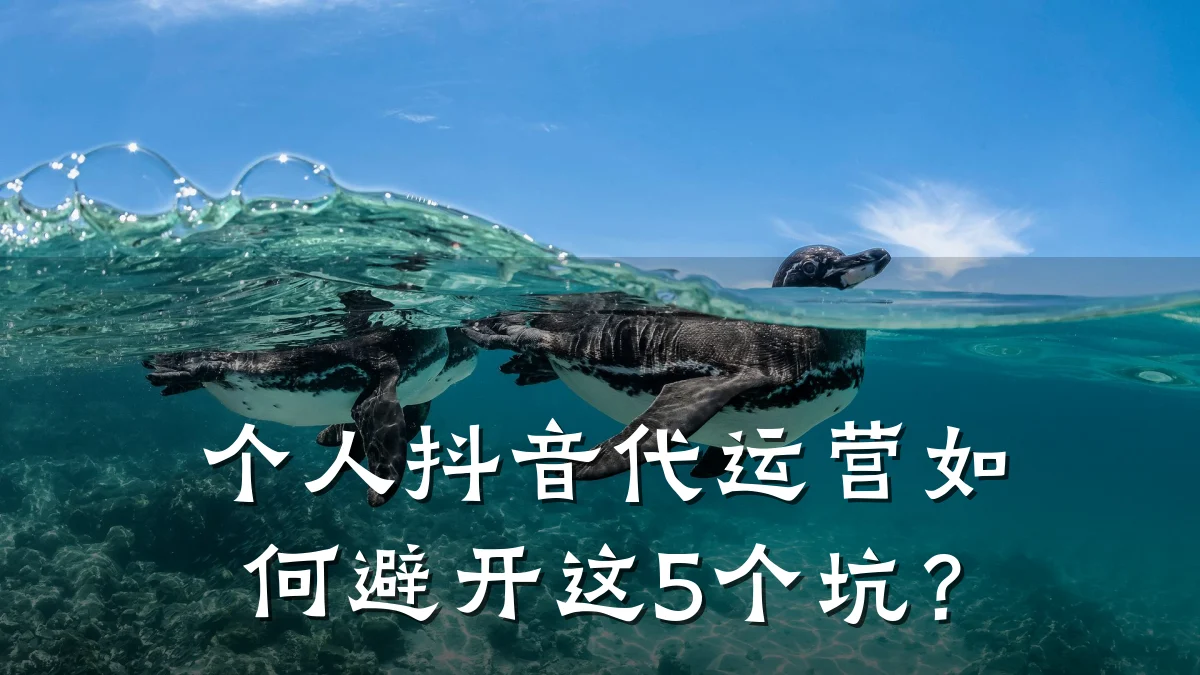 个人抖音代运营如何避开这5个坑？