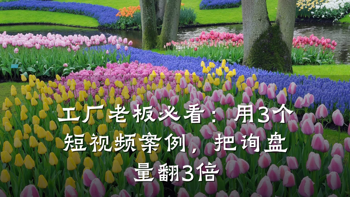工厂老板必看：用3个短视频案例，把询盘量翻3倍