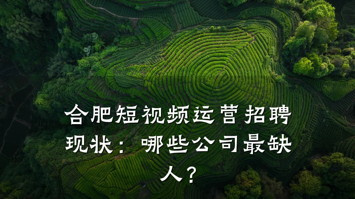 合肥短视频运营招聘现状：哪些公司最缺人？