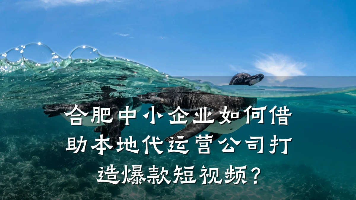 合肥中小企业如何借助本地代运营公司打造爆款短视频？