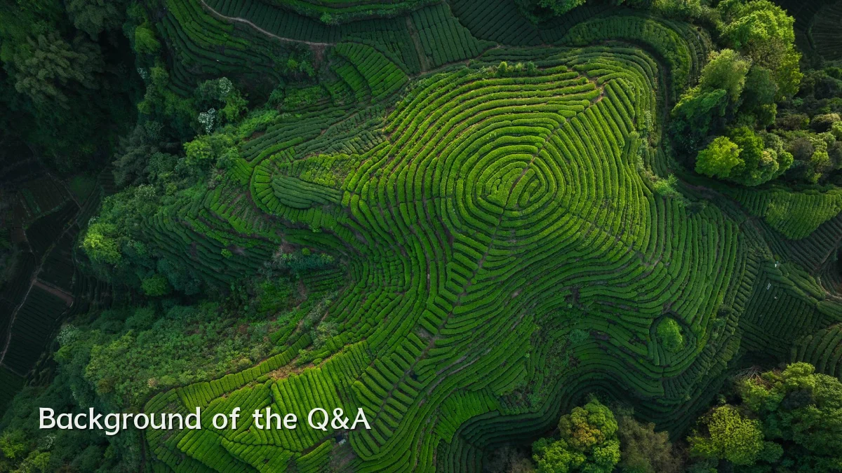 Background of the Q&A