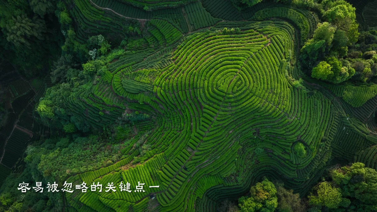 容易被忽略的关键点一