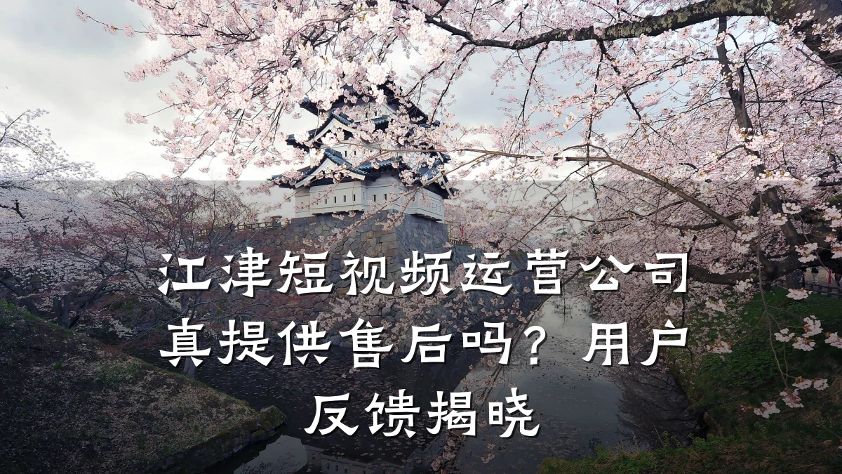 江津短视频运营公司真提供售后吗？用户反馈揭晓