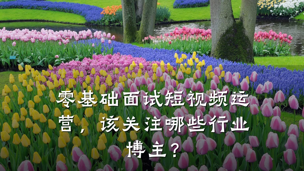 零基础面试短视频运营，该关注哪些行业博主？