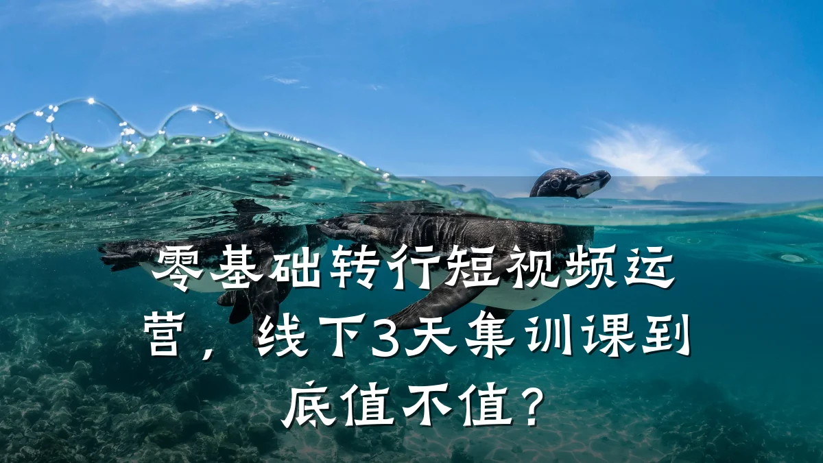 零基础转行短视频运营，线下3天集训课到底值不值？