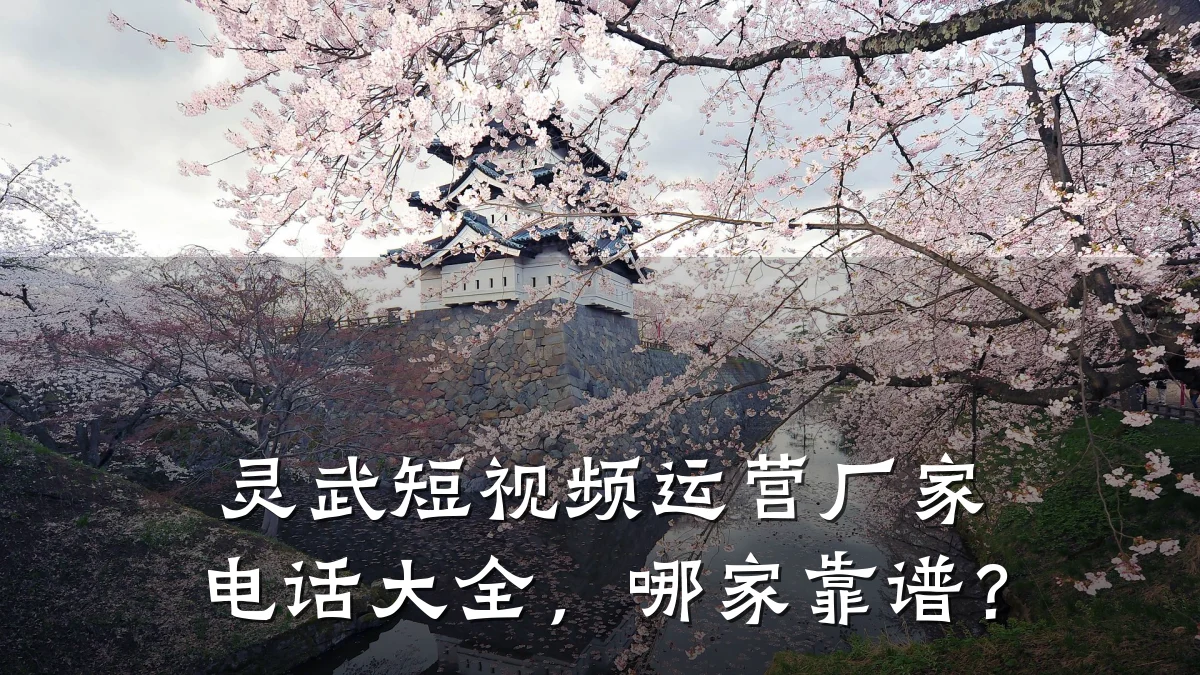 灵武短视频运营厂家电话大全，哪家靠谱？
