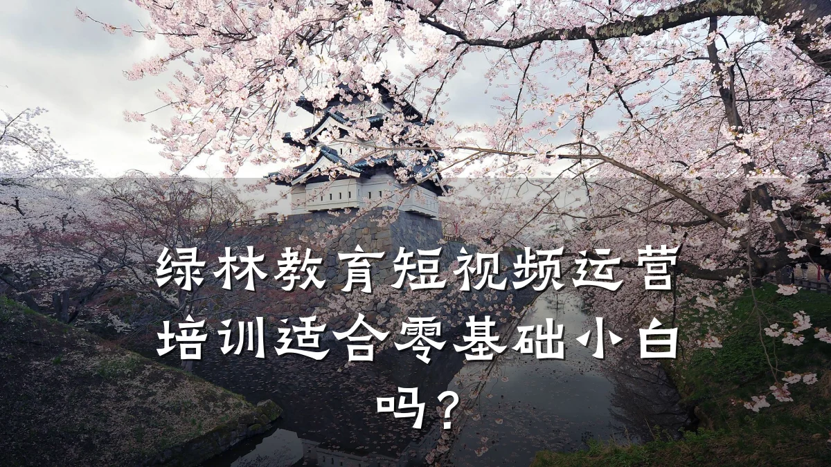 绿林教育短视频运营培训适合零基础小白吗？