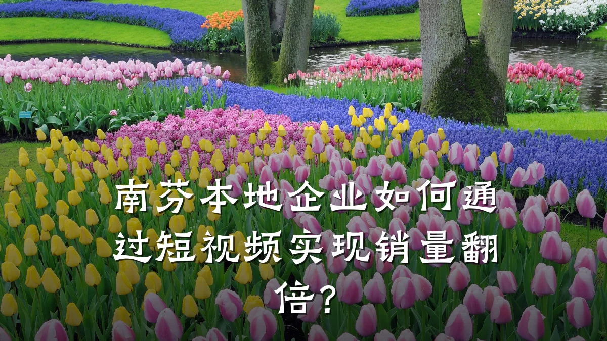 南芬本地企业如何通过短视频实现销量翻倍？