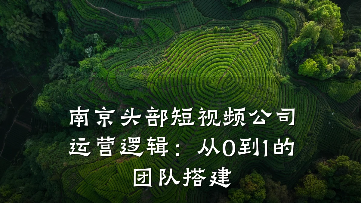 南京头部短视频公司运营逻辑：从0到1的团队搭建