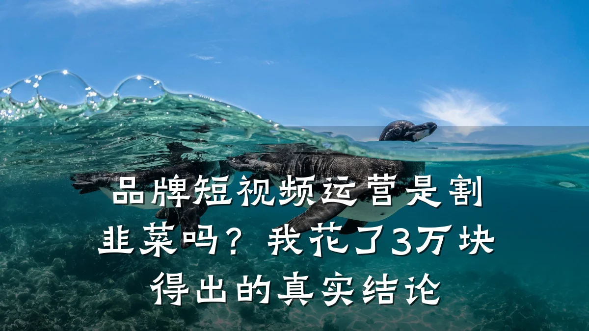 品牌短视频运营是割韭菜吗？我花了3万块得出的真实结论