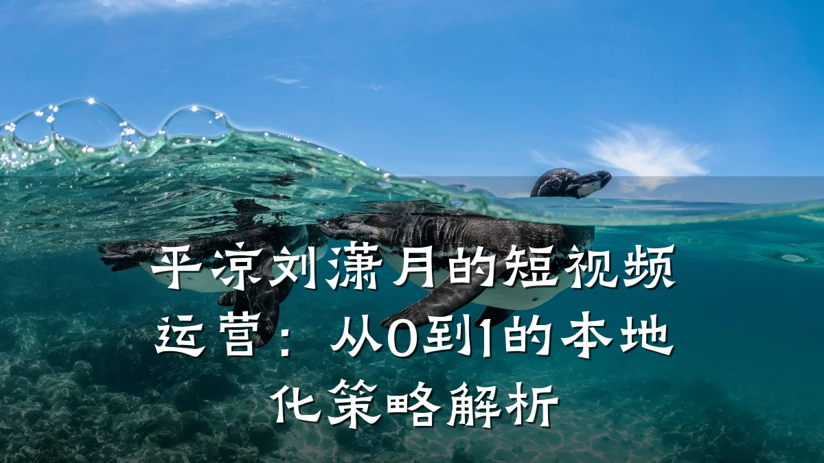 平凉刘潇月的短视频运营：从0到1的本地化策略解析
