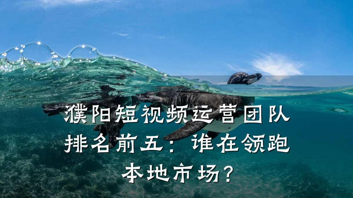 濮阳短视频运营团队排名前五：谁在领跑本地市场？