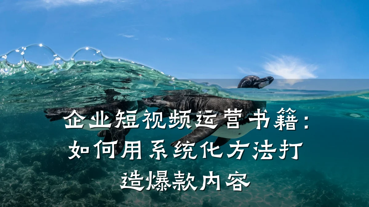 企业短视频运营书籍：如何用系统化方法打造爆款内容