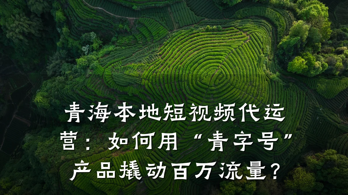 青海本地短视频代运营：如何用“青字号”产品撬动百万流量？