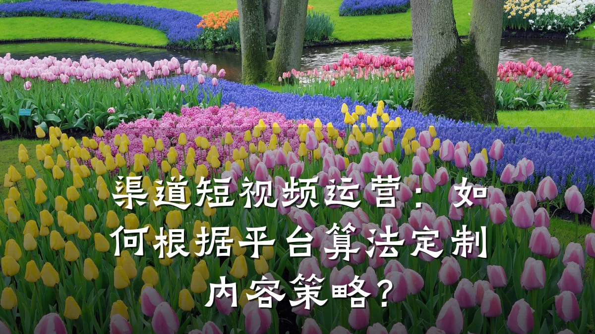 渠道短视频运营：如何根据平台算法定制内容策略？