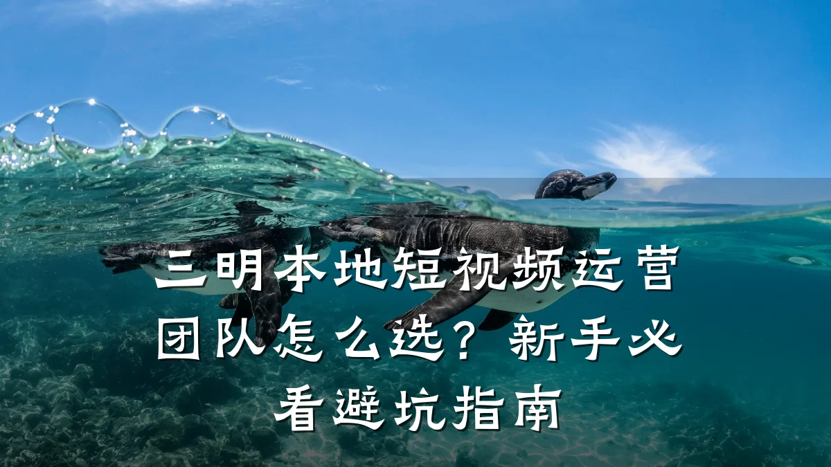 三明本地短视频运营团队怎么选？新手必看避坑指南