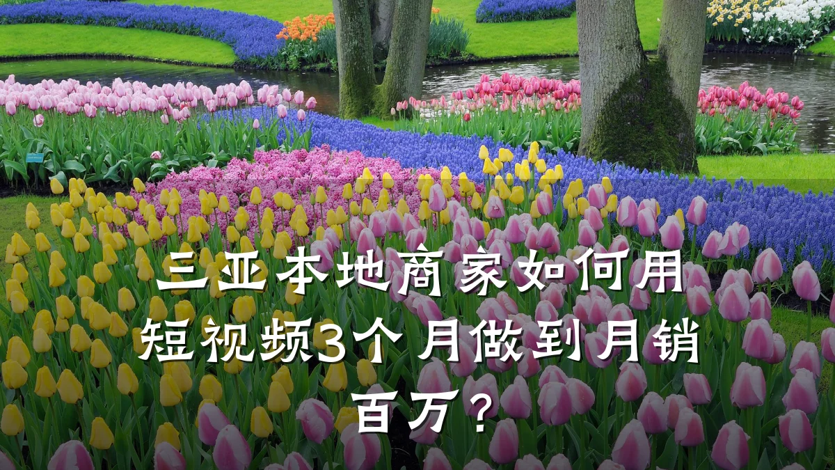 三亚本地商家如何用短视频3个月做到月销百万？