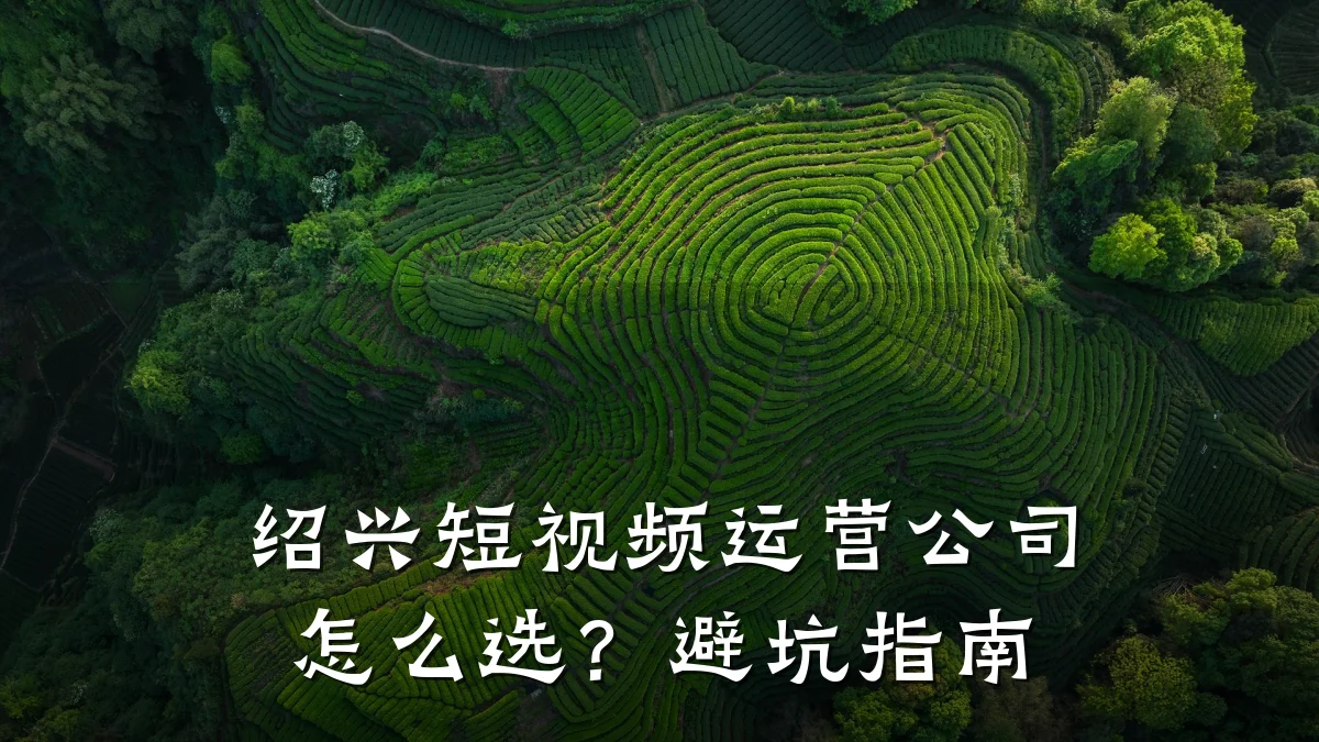 绍兴短视频运营公司怎么选？避坑指南