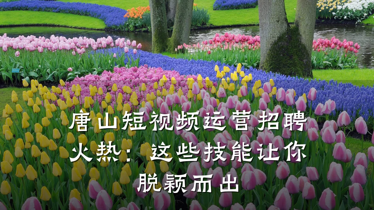 唐山短视频运营招聘火热：这些技能让你脱颖而出