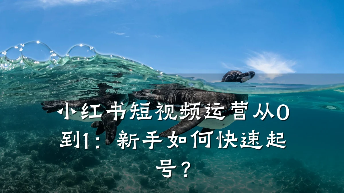 小红书短视频运营从0到1：新手如何快速起号？