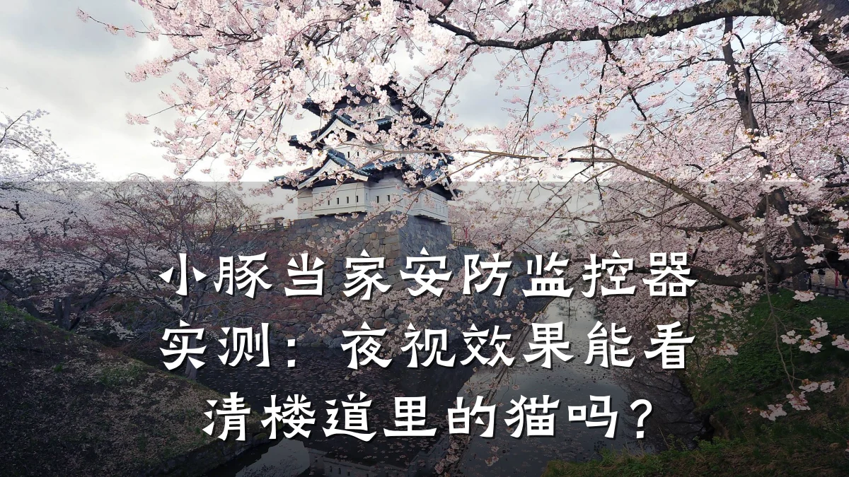 小豚当家安防监控器实测:夜视效果能看清楼道里的猫吗?