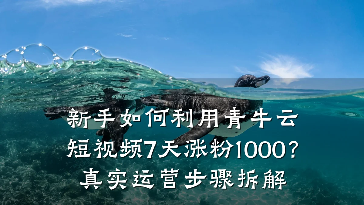 新手如何利用青牛云短视频7天涨粉1000？真实运营步骤拆解